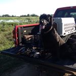 Profile Picture of Roy Chaney (@roy_chaney) on Instagram