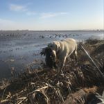 Profile Picture of Dennis Perry (@dennis.perry.79) on Instagram