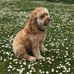 Profile Picture of Beverly Koepke (@beverly.koepke.5) on Facebook