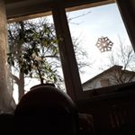 Profile Picture of Marko Vidovič (@marko.kauko.13) on Instagram