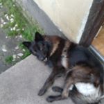 Tony Dack - Instagram Profile Picture of Tony Dack (@dacktony) on Instagram