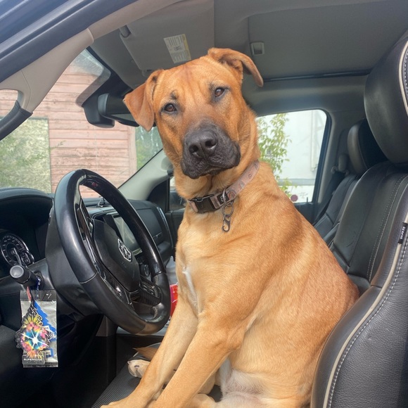 Profile Picture of Brooklyn Gader (@brooklyngader) on Poshmark