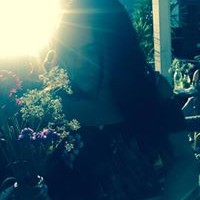 Profile Picture of Lisa Rinaldi (@lisa-rinaldi-3) on Quora