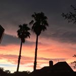 Profile Picture of Katelyn Nguyen (@kat_luu_huu) on Instagram