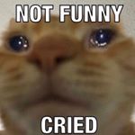 Profile Picture of Matt Helders (@cautioushorse) on Instagram