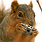 Profile Picture of Mahnaz (@universe12) on Flickr