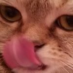 Profile Picture of Mimi (@riddle_miss1) on Instagram