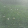 Profile Picture of maxine (@@pavwuk) on Tiktok