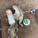 Profile Picture of Dailynn Robin (@dailynnrobin69) on Facebook