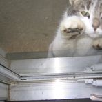 Profile Picture of Caitlin Slevin (@caitlin.slevin.3) on Facebook