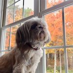 Profile Picture of Patrick Muse (@patrickmuse) on Instagram