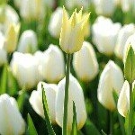 Profile Picture of 🏀JAR£D_€ARN£$🏀 (@jared_carnes24) on Instagram