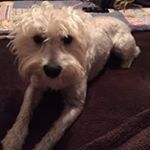 Delmy Schuchman - Instagram Profile Picture of Delmy Schuchman (@delmyschuchman) on Instagram