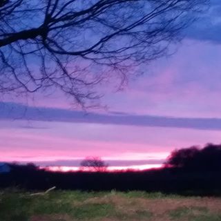 Profile Picture of Cindy Taber (@Cindy-Taber) on Facebook