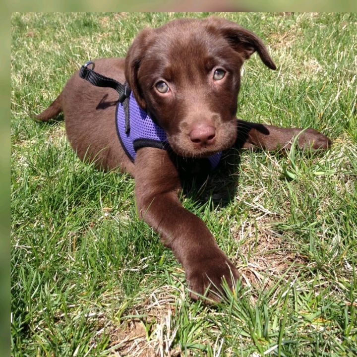 Profile Picture of marcosby17 (@marcosby_) on Tiktok