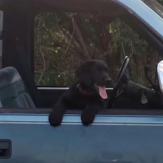 Profile Picture of James Poppen (@jamespoppen) on Instagram