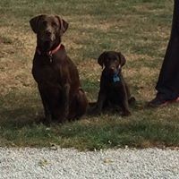 Profile Picture of Pam Barnett (@pam-barnett-4) on Quora