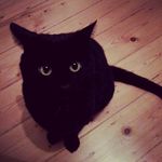 Profile Picture of Melanie Fowler (@melaniefowler496) on Instagram