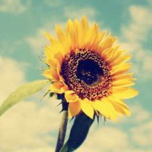 Profile Picture of Jordan Toskes (@jordanb29) on Poshmark