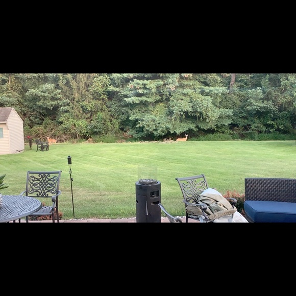 Profile Picture of Bryelle Gass (@brygass26) on Poshmark