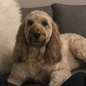 Profile Picture of Steven Chaffin (@SoftAsButtah) on Youtube