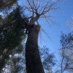 Profile Picture of Andrew Cowley (@andrew_c148) on Instagram