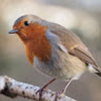 Profile Picture of Hazel Parker (@hazel-parker-59) on Quora