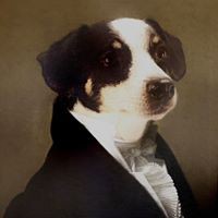 Profile Picture of Mark Schlesinger (@mark-schlesinger-9) on Quora