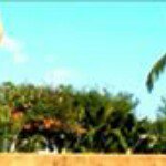 Profile Picture of Sherri Smith Tahaei (@sherri_tahaei) on Instagram