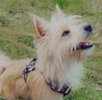 Tara Benoit - Facebook Profile Picture of Tara Benoit (@Tara-Benoit) on Facebook