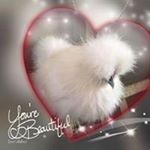 Profile Picture of Tammy Hord (@tammyhord) on Instagram