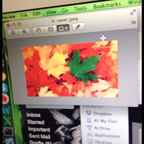 Profile Picture of Thejaswi Minari (@thejaswi99) on Poshmark