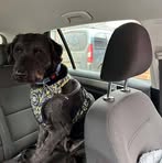 Profile Picture of Bruce Whitmer (@Bruce-Whitmer) on Facebook