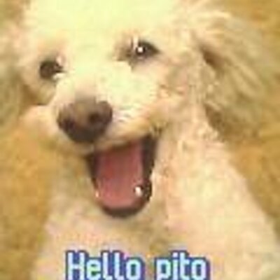 Profile Picture of Yecenia Ortiz (@yeceniaortiz1) on Twitter