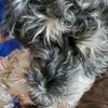 Profile Picture of Brad S. Klatt (@@brads.klatt) on Tiktok