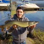 Profile Picture of Daniel Lohr (@lohr_fishing) on Instagram