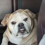 Profile Picture of Brooke Howard (@brooke.howard.436051) on Facebook