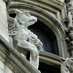 Profile Picture of Paul Ferguson (@backbayfilms) on Instagram