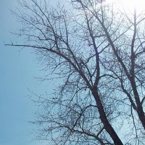 Profile Picture of Griselda Plascencia (@grisi237) on Myspace