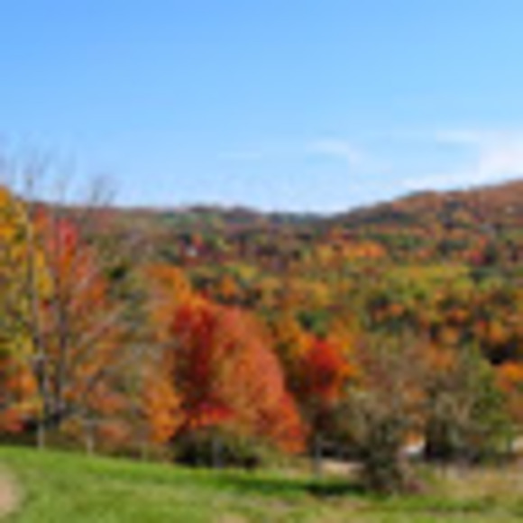 Profile Picture of Axel Corlu (@axelcorlu) on Poshmark