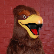 Profile Picture of Ignace Falcons Channel (@ignacefalconschannel1368) on Youtube