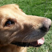 Profile Picture of Benjamin Book (@benjaminbook2377) on Youtube