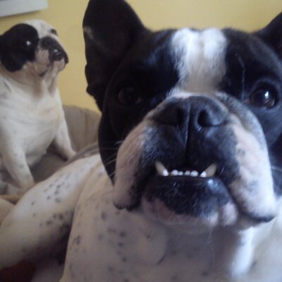 José Manuel Franco - Twitter Profile Picture of José Manuel Franco (@FraSherry) on Twitter