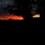 Profile Picture of Hannah Riggs (@hannah_riggs10) on Instagram