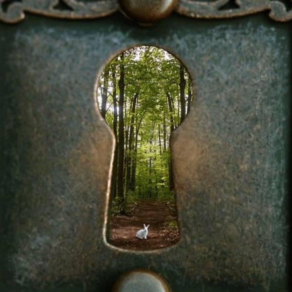 Profile Picture of Candace Howitz (@chowitz) on Poshmark