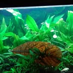 Profile Picture of Daniel Bierfreund (@daniel.bierfreund.54) on Facebook