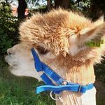 Profile Picture of Mia daubenberger (@daubenbergermia) on Instagram