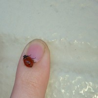 Angela Smithene - Quora Profile Picture of Angela Smithene (@angela-smithene) on Quora