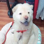 Profile Picture of Teddy Joe Daprayer (@teddaprayer) on Instagram