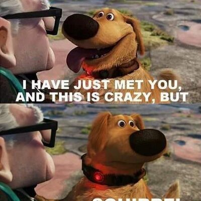 Profile Picture of Funny :) (@ChrisWallen3) on Twitter